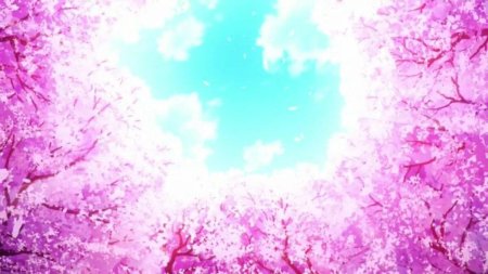 Sakura фон