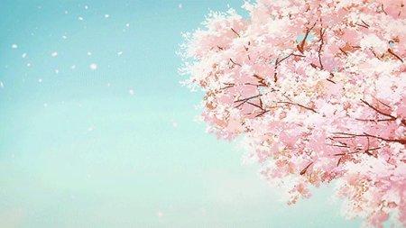 Фон с сакурой