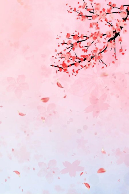 Лепестки Сакуры Геншин