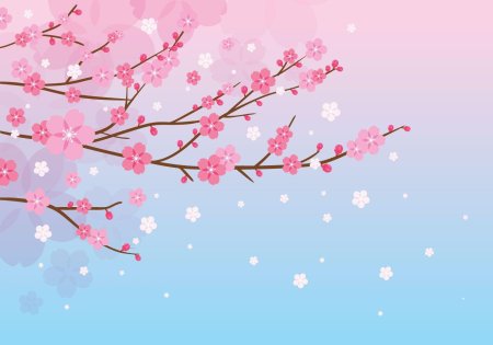 Сакура черри блоссом фон