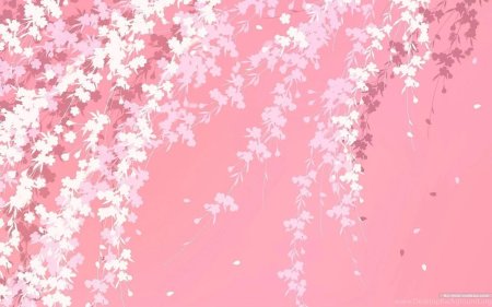 Лепесток Сакуры