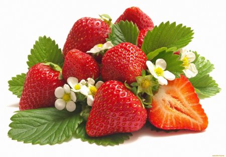 Земляника Садовая Царскосельская