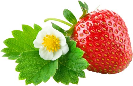 Земляника на белом фоне