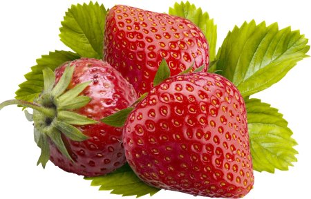 Клубника ягода