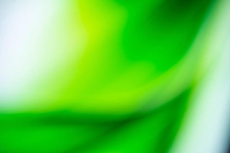 Красивые зеленые фоны