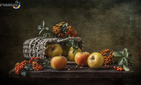 Фламандский натюрморт Елена Татульян