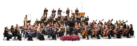 Оркестр силуэт