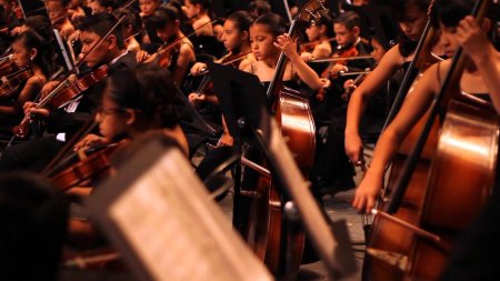 Симфонический оркестр Эстетика