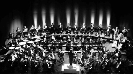 Музыкальный оркестр