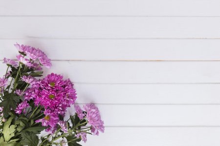 Хризантемы на деревянном фоне