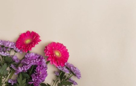 Астры герберы хризантемы