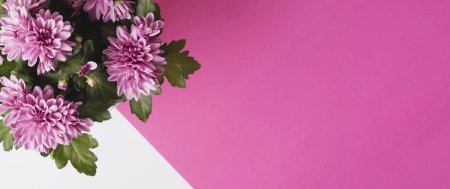 Цветочные фоны