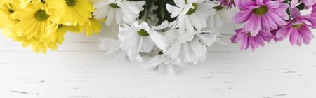 Красивый фон с хризантемами