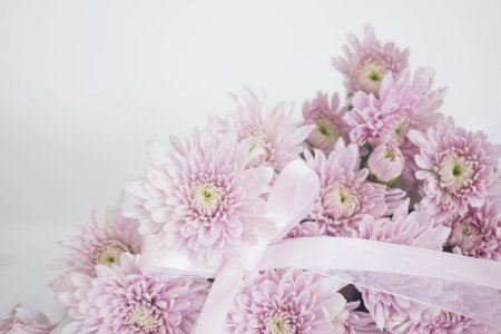 Хризантема Риббон