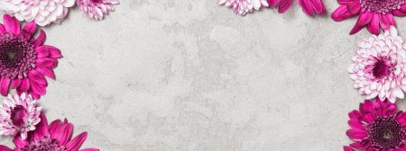 Красивый фон с хризантемами