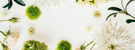 Хризантемы белая