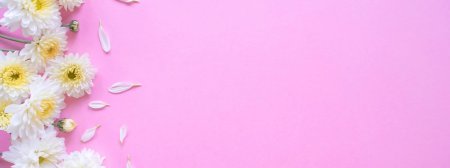 Фон нежный хризантемы