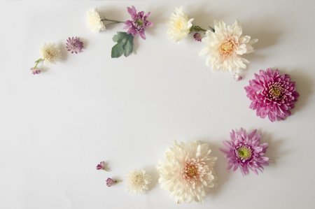 Цветок хризантемы