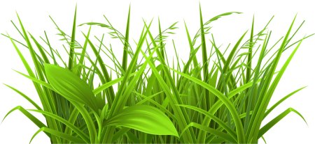 Трава вектор
