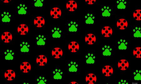 Леди баг и супер кот фон