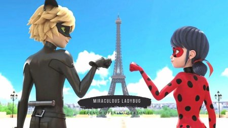 Miraculous ladybug et chat noir