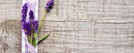 Фотофон Лаванда