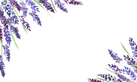 Лаванда цветы для визиток 90 на 50