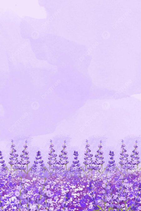 Самсунг а 32 лавандовый