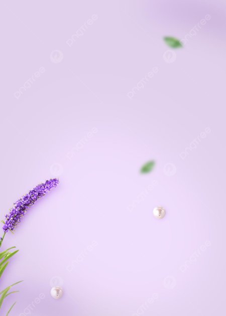 Лавандовый фон для презентации