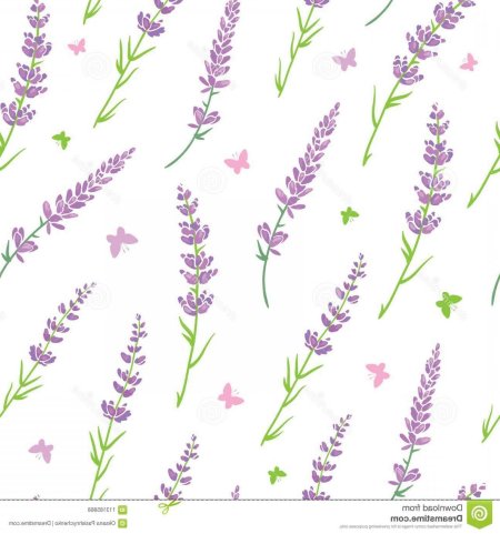 Лаванда паттерн