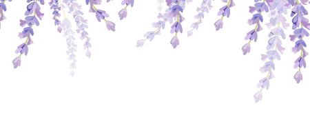 Ветка лаванды на белом фоне