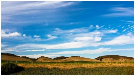 Природа степь