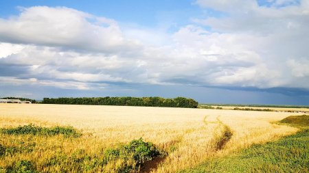 Донская степь Ростовская область