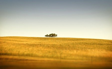 Поле Горизонт