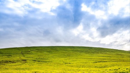 Степь Молдовы