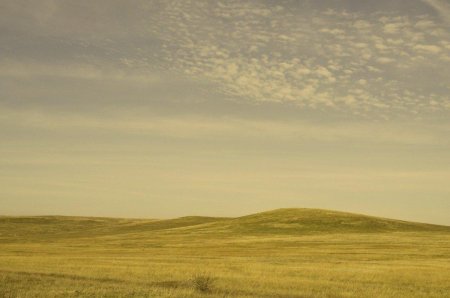 Фон степь