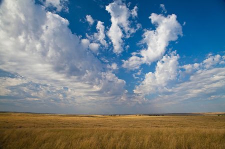 Ширакская степь
