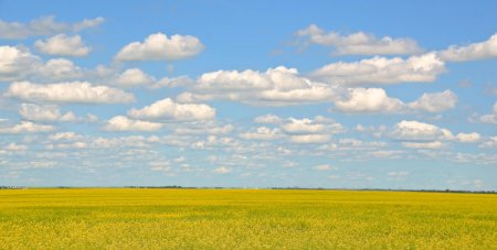 Степь панорама