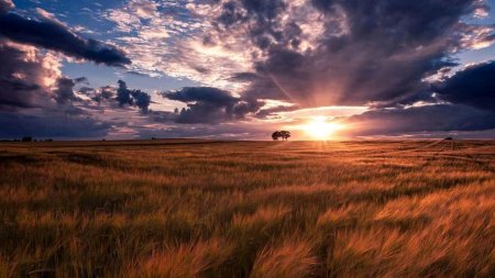 Красивое поле