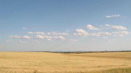 Степь нераспаханная Волгоградская область