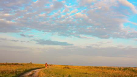Койбальская степь