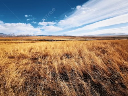 Фон для презентации степь