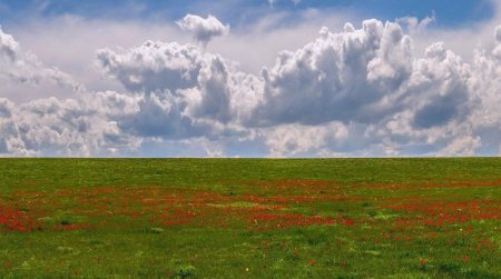 Калмыкия степь