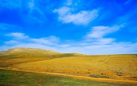 Алматы степь