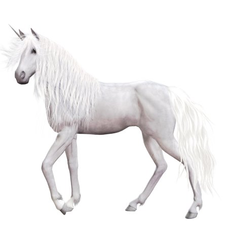 Лошади на белом фоне