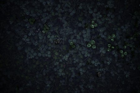 Темный задний фон