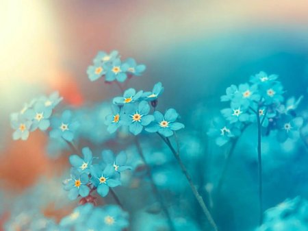 Фон цветочный нежный