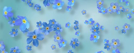 Незабудки фон