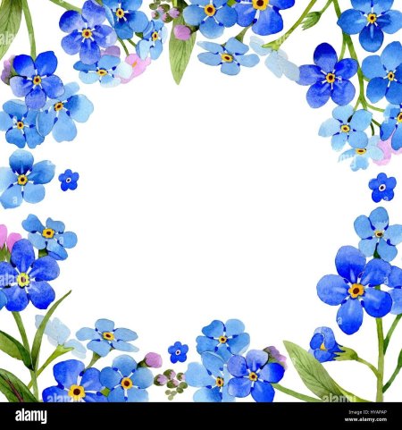 Рамочка с незабудками