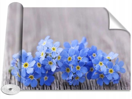 Незабудка альпийская myosotis alpestris